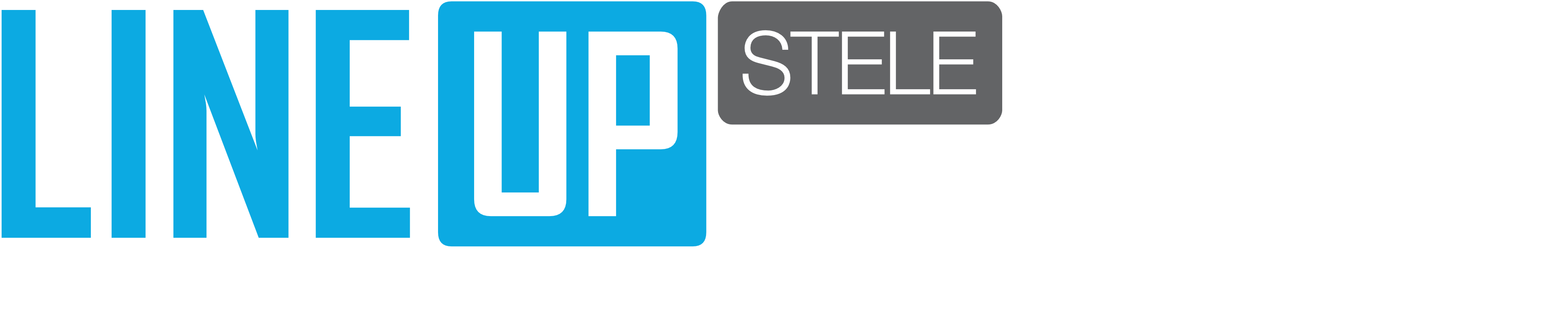 LINEUP Stele